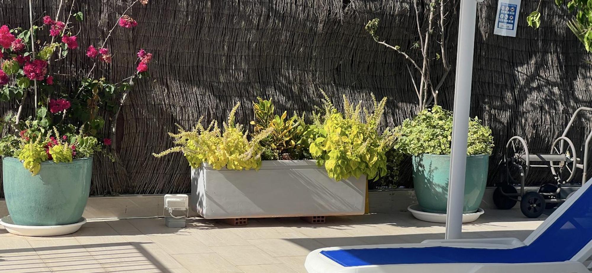 Ancla Real Apartamentos Loft 엘푸에르토데산타마리아 외부 사진