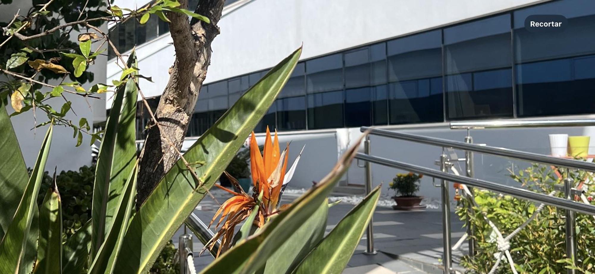 Ancla Real Apartamentos Loft 엘푸에르토데산타마리아 외부 사진