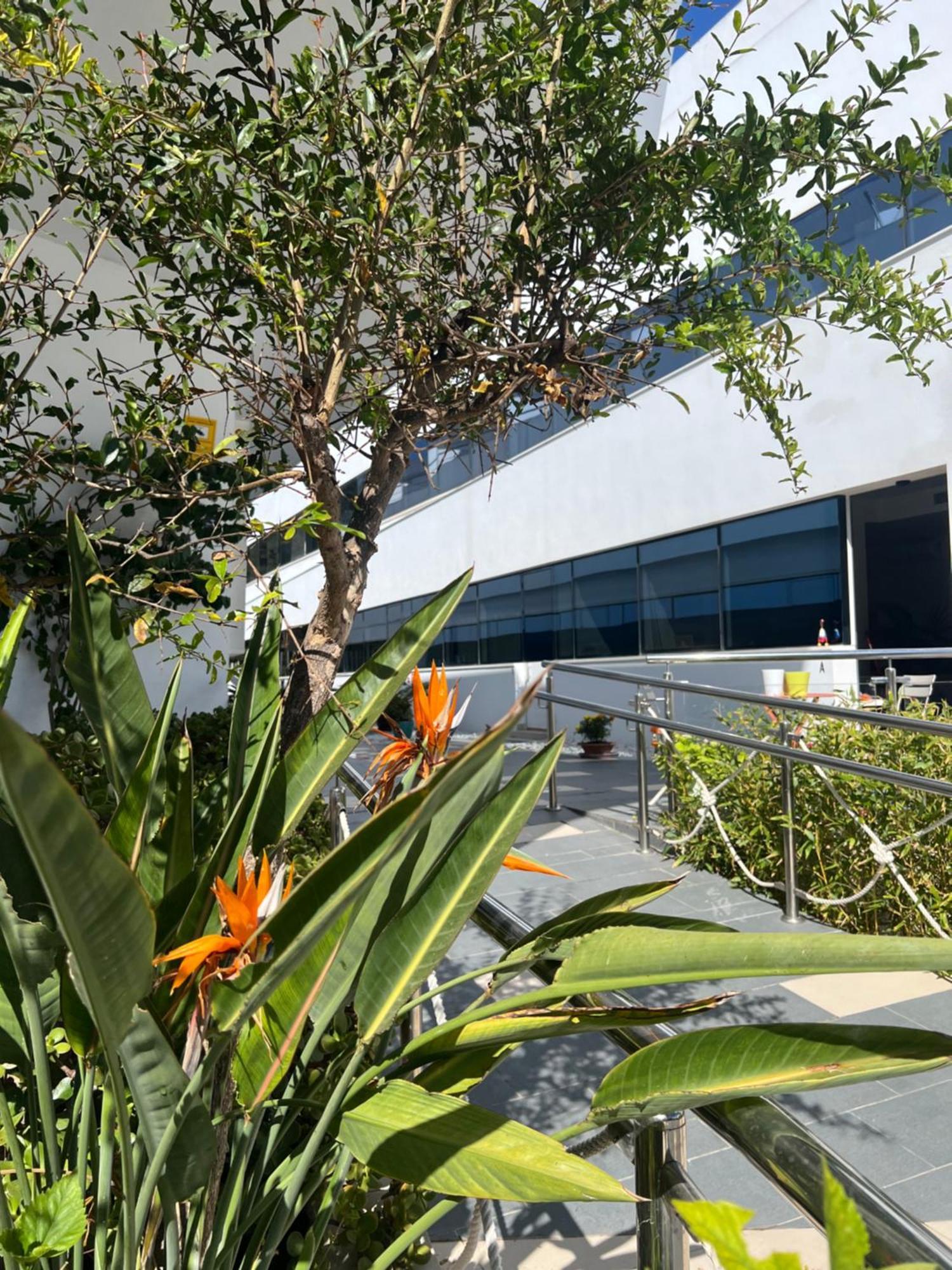 Ancla Real Apartamentos Loft 엘푸에르토데산타마리아 외부 사진