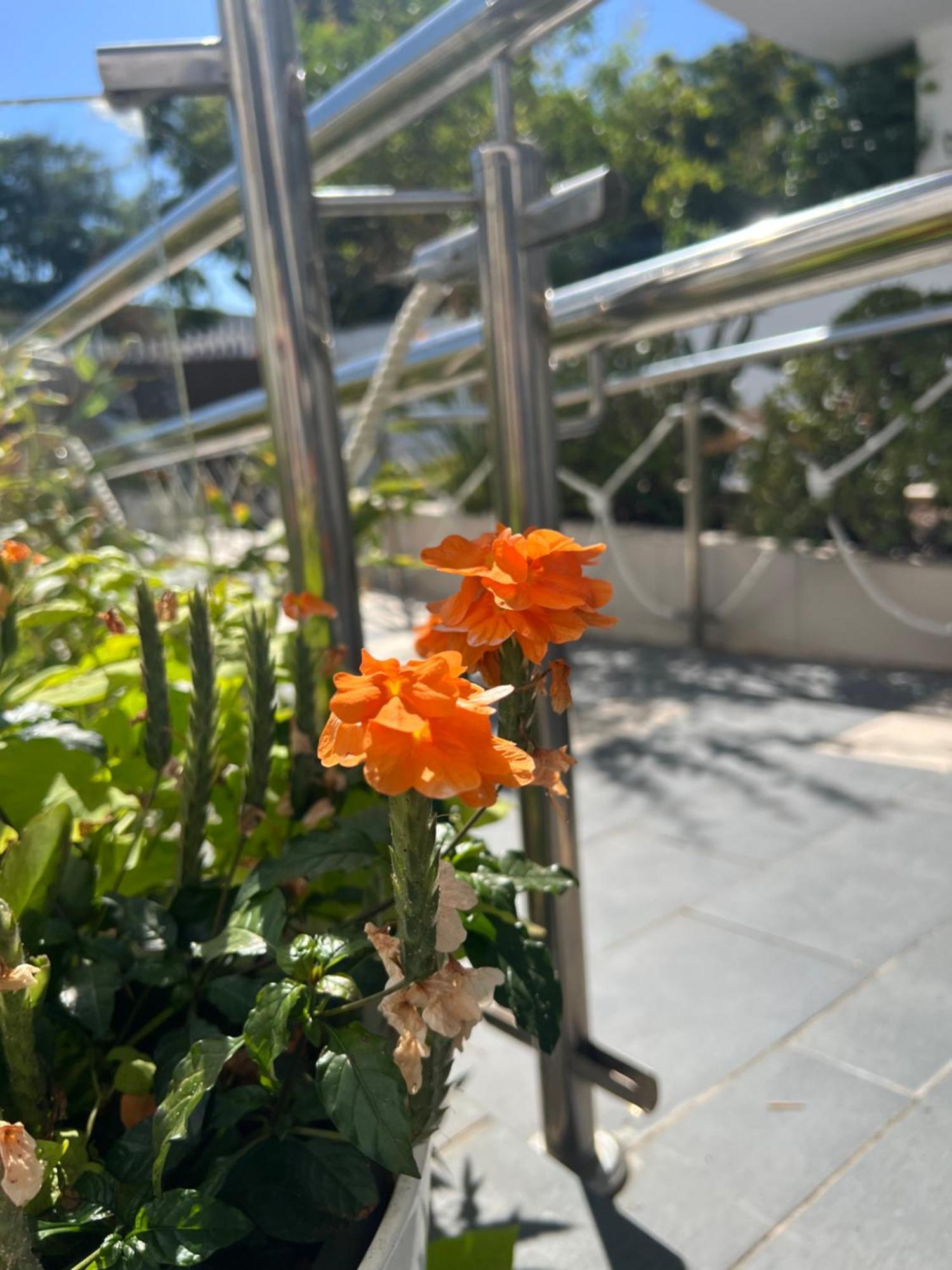 Ancla Real Apartamentos Loft 엘푸에르토데산타마리아 외부 사진