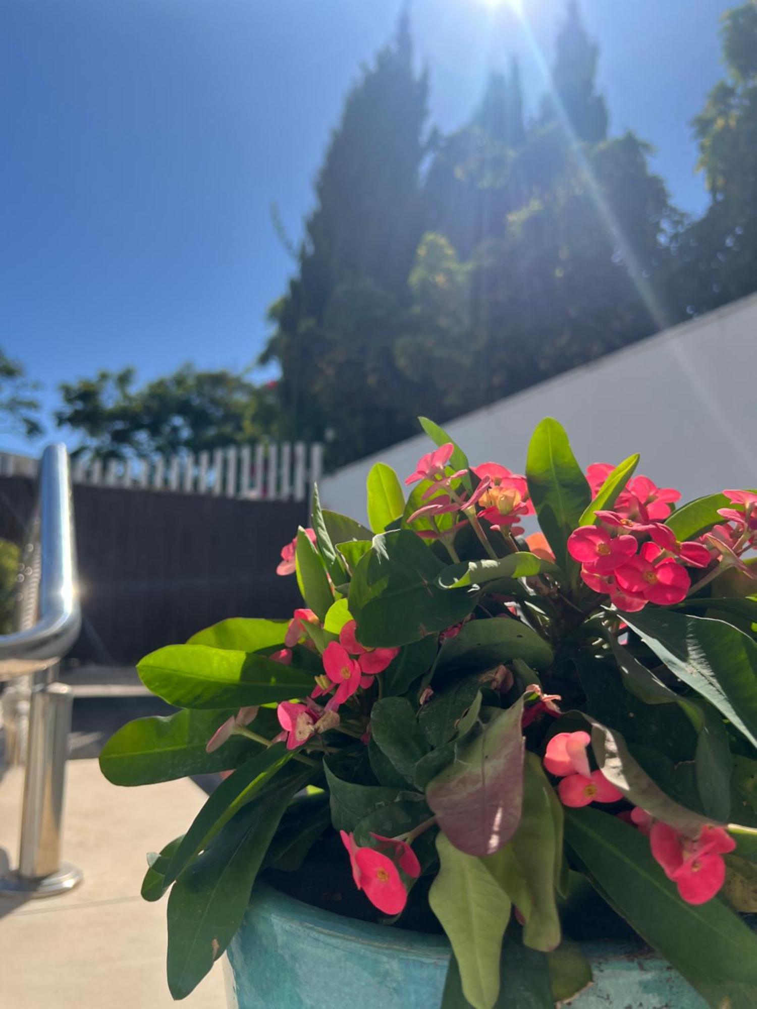 Ancla Real Apartamentos Loft 엘푸에르토데산타마리아 외부 사진